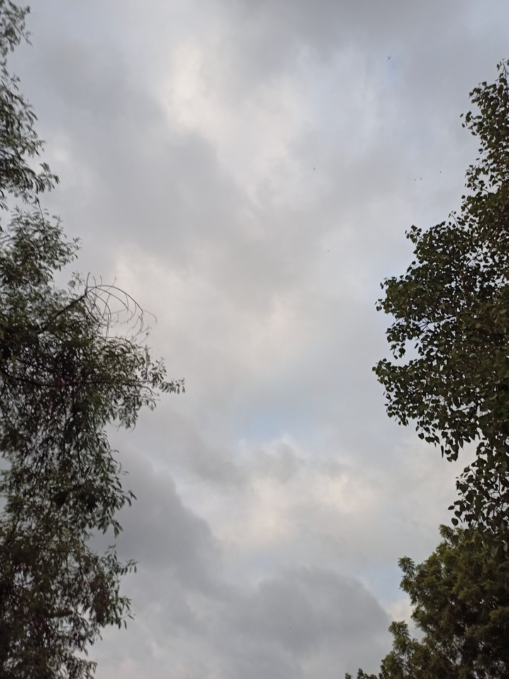 cloud