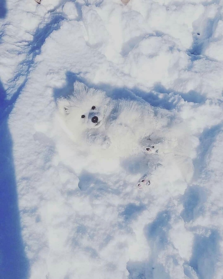 маскировка