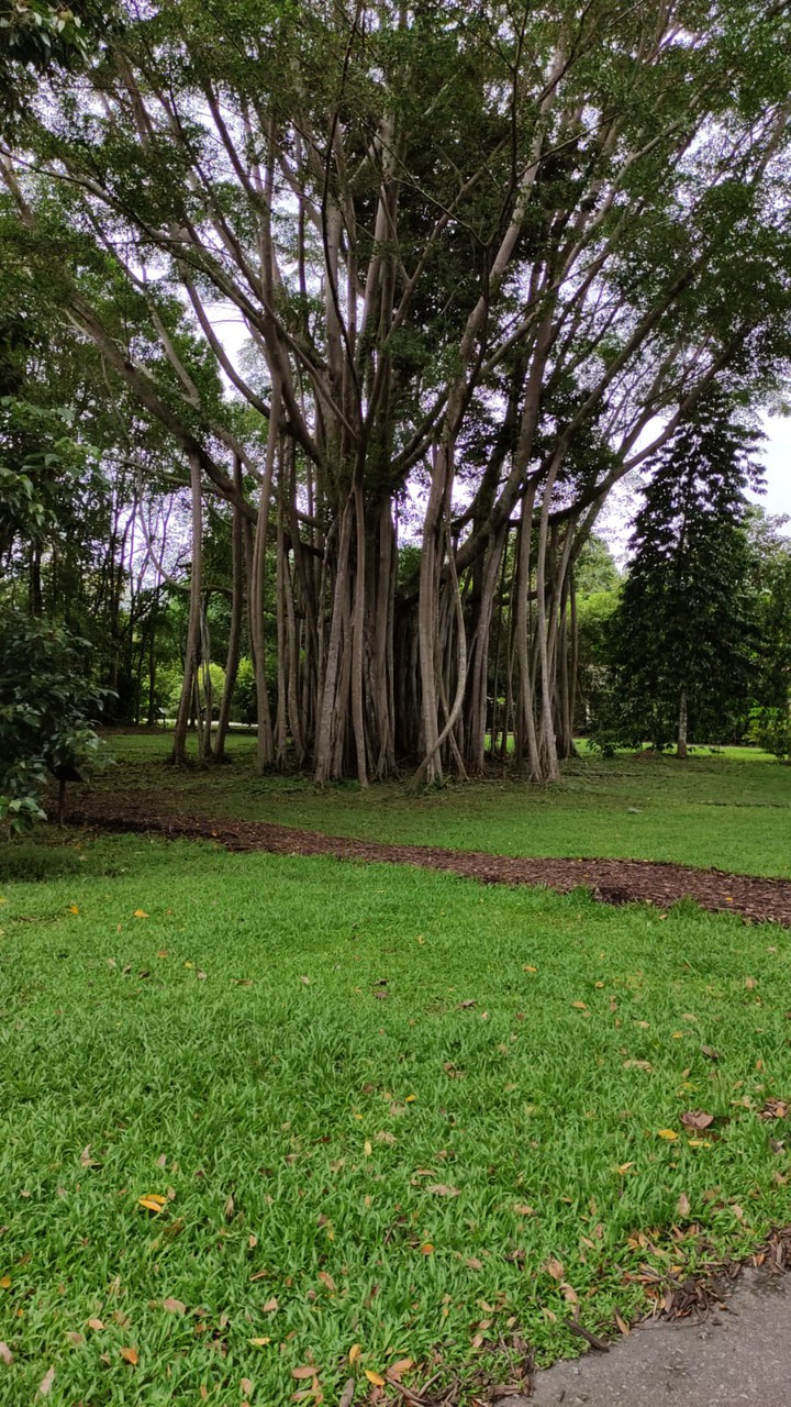 A Day at Pula Ubin