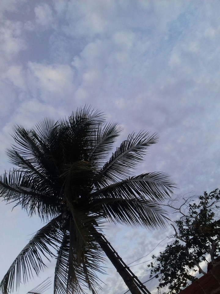 céu
