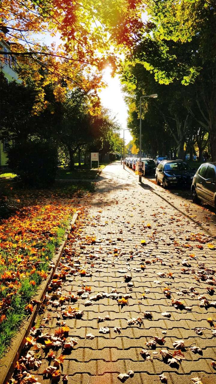 colorful autumn day