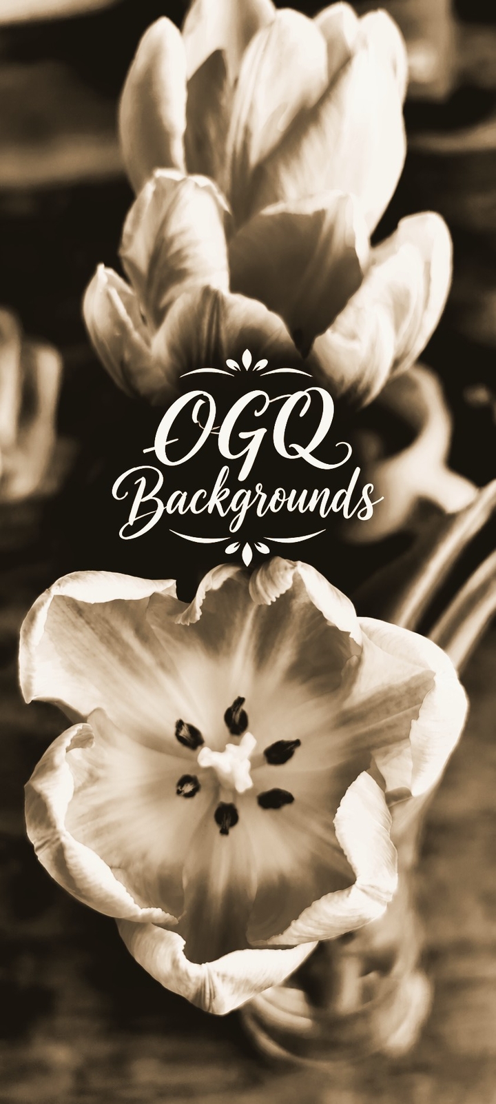 OGQ Backgrounds (alternative version)
