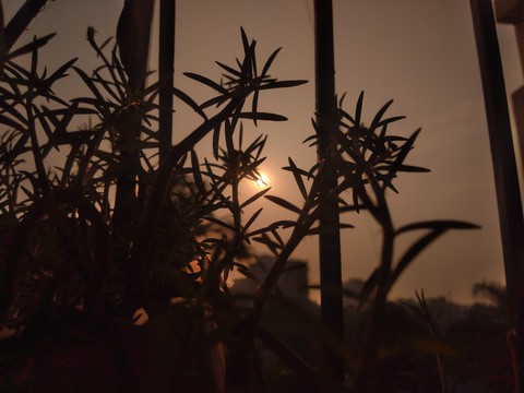 sunrise ?