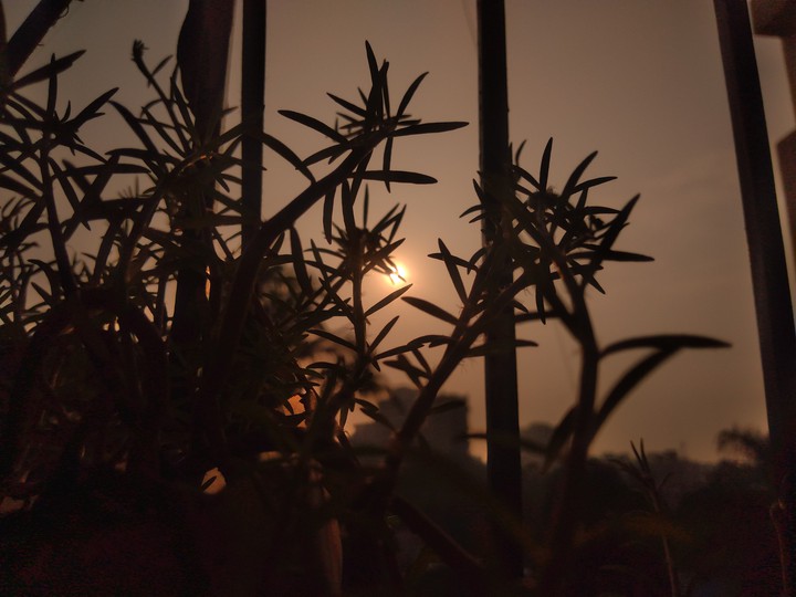sunrise ?