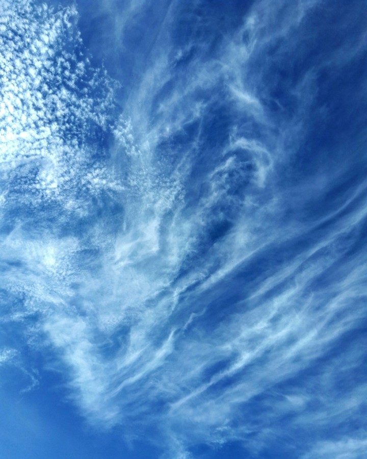 Nel Blu Dipinto Di Blu