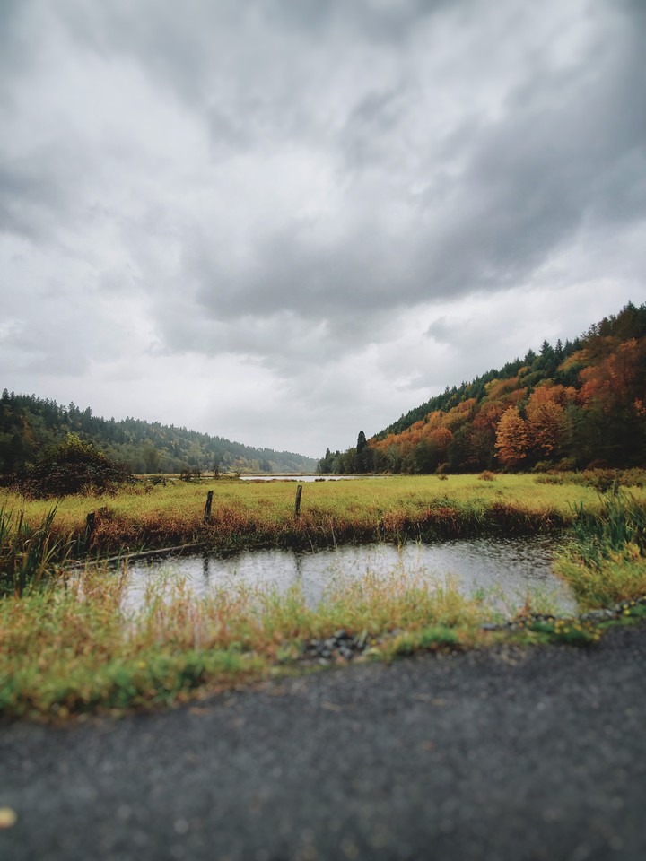 #autumn