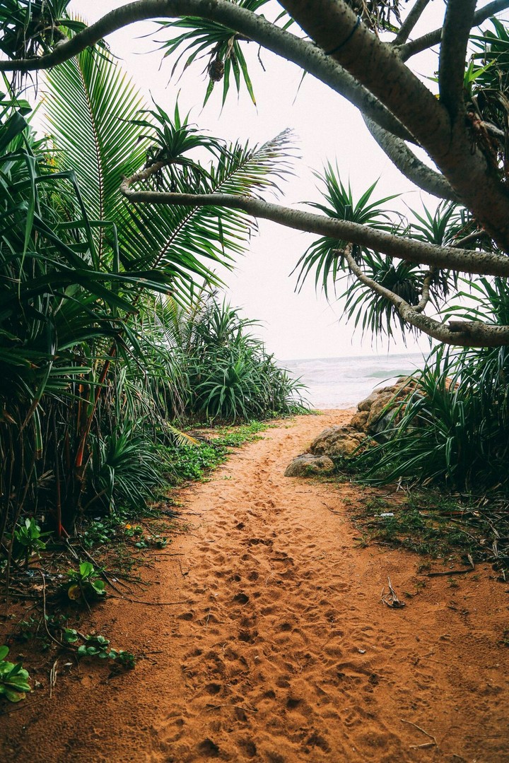 Sri Lanka