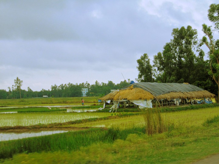 Landscape