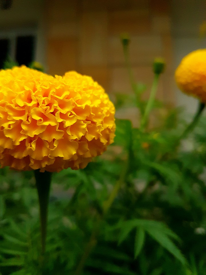 s photography