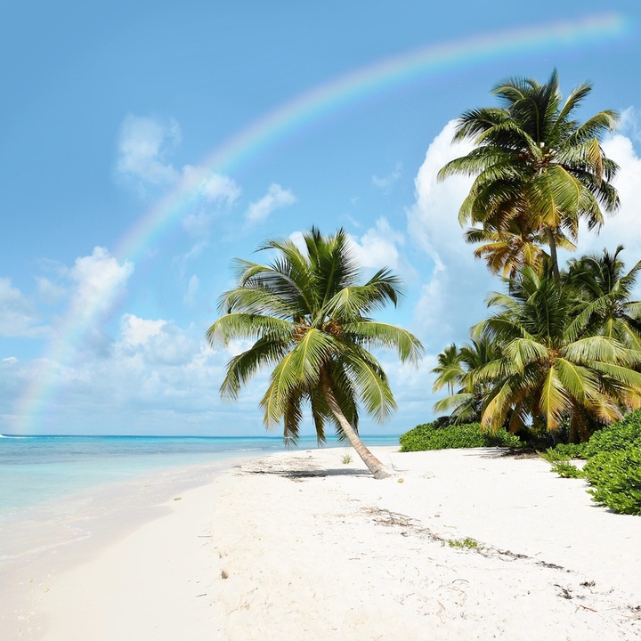 lovely sunny beach