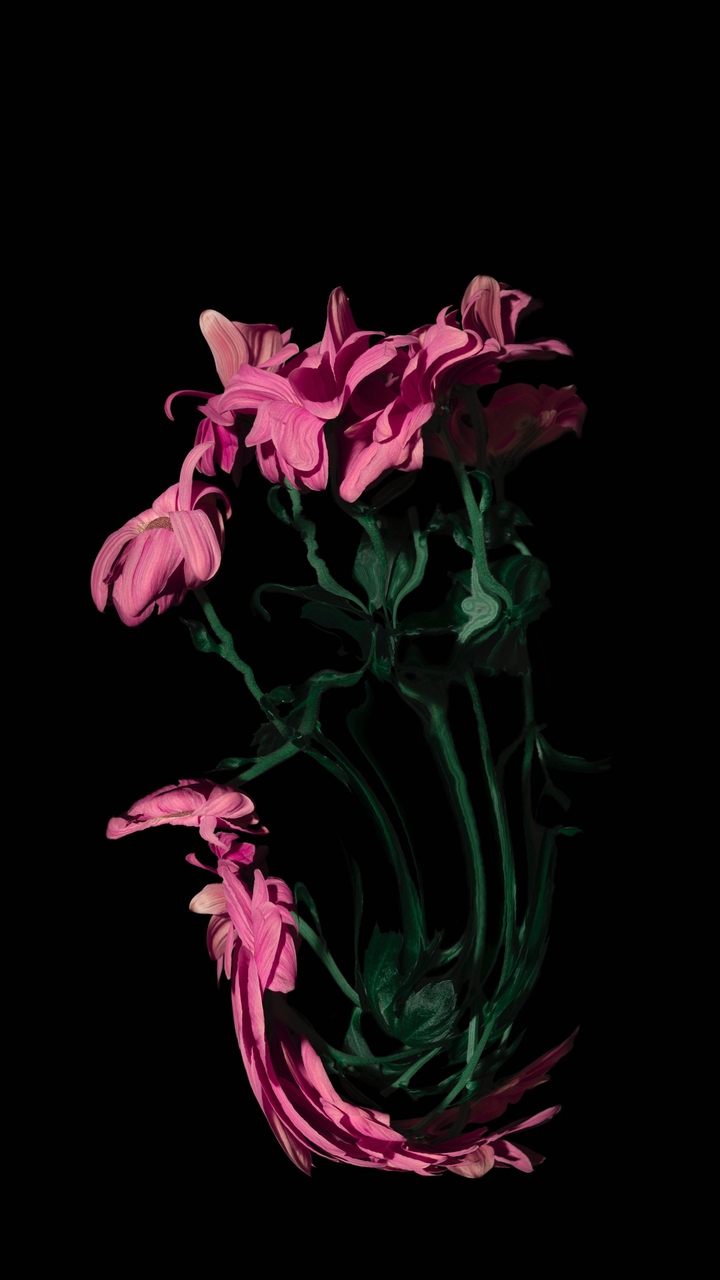 #flower
