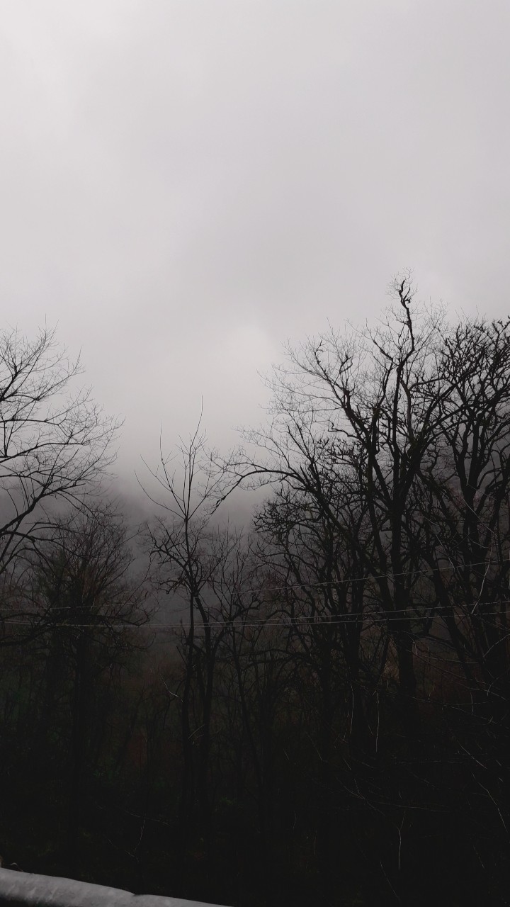 fog