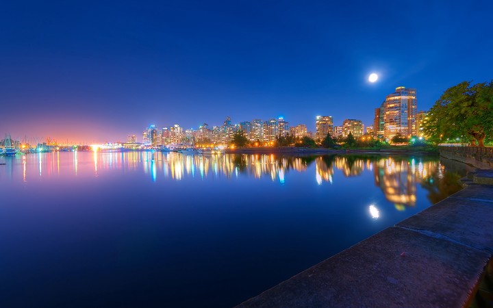 Night Light River View Trees