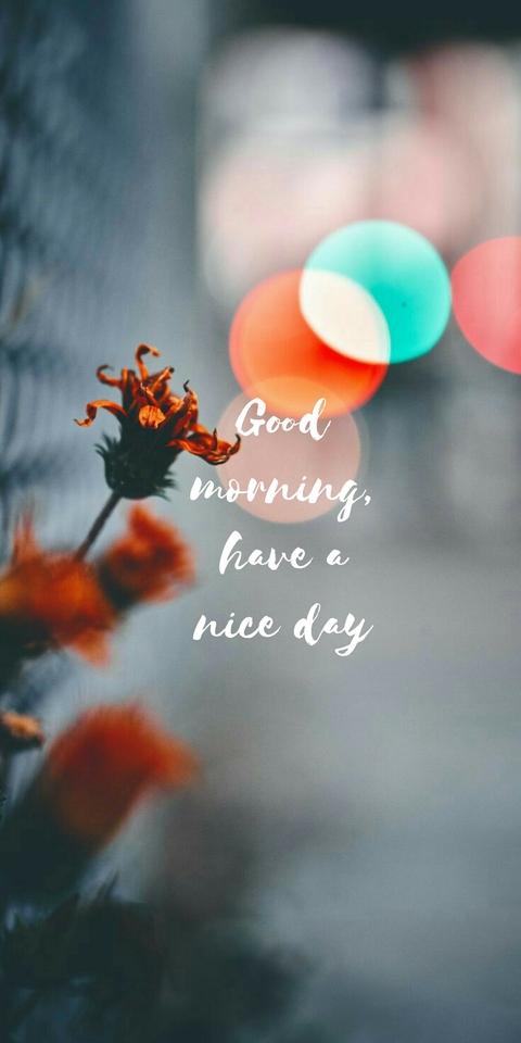 Quotes