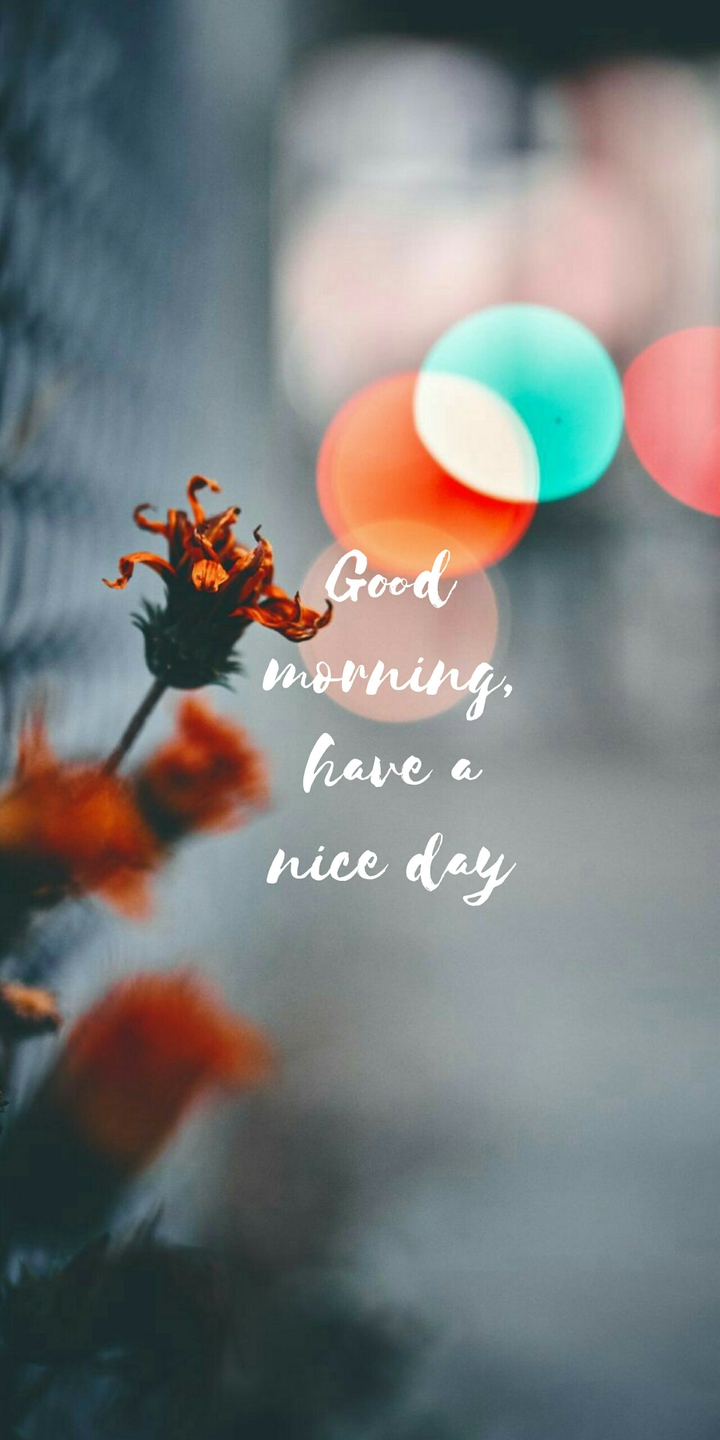 Quotes