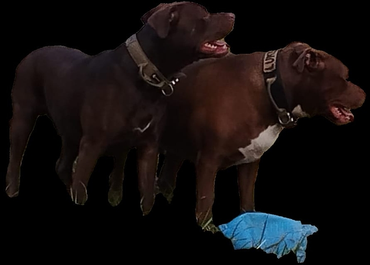 .
