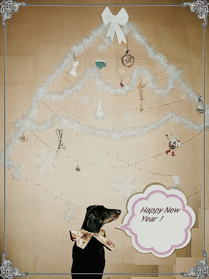 New Year 2018