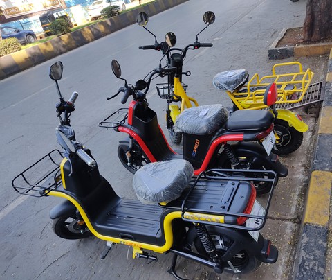 Electronic bike