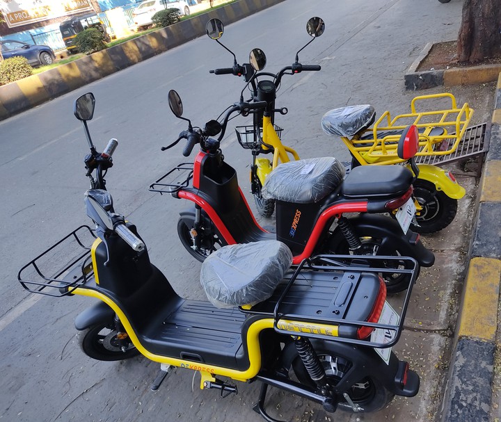 Electronic bike