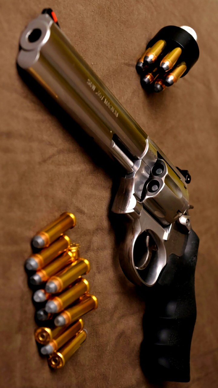 Gun