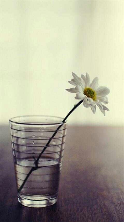 white flower