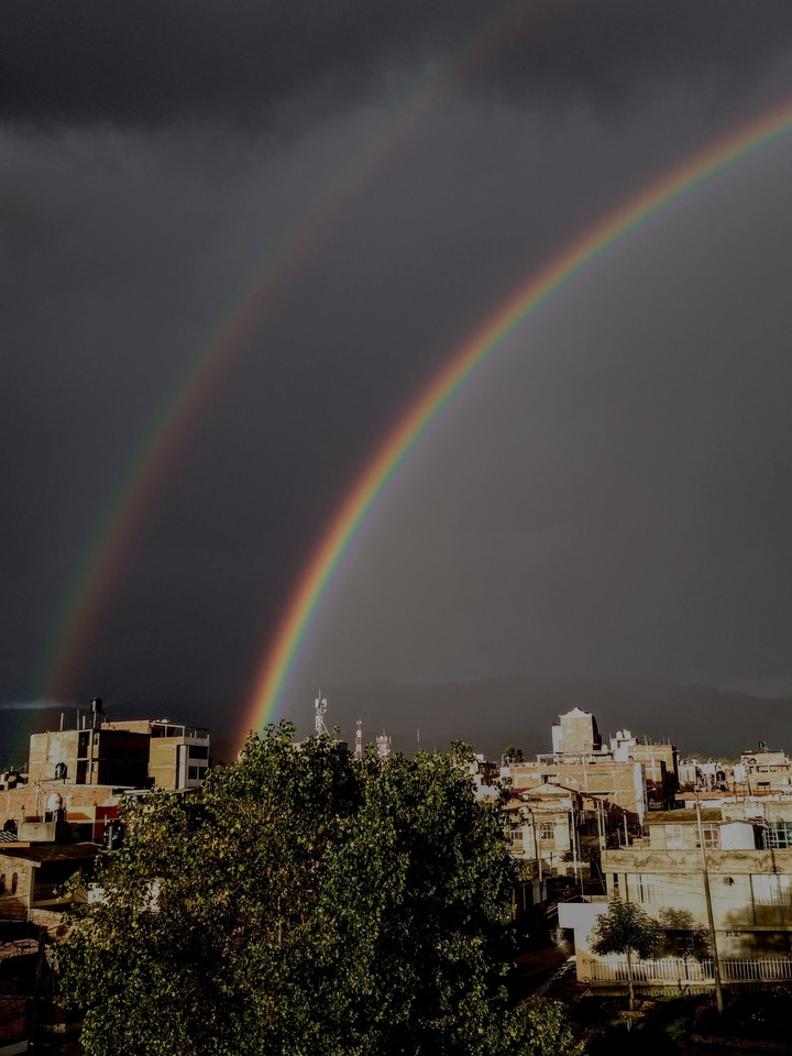 almas gemelas