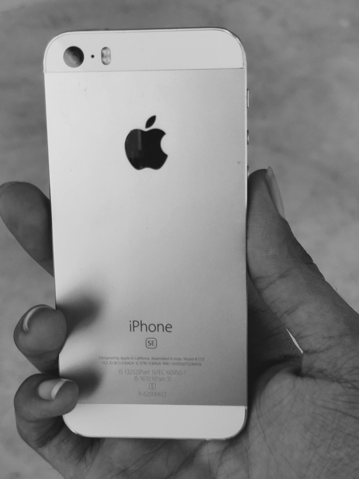 apple lover
