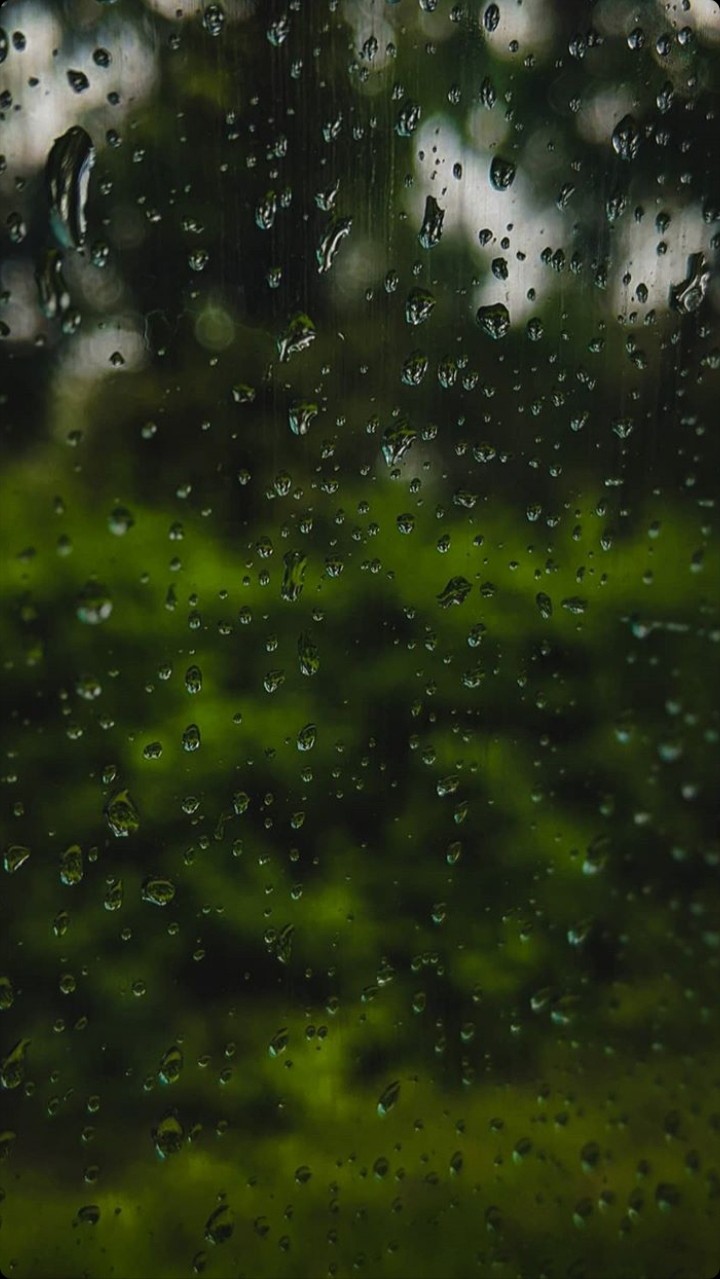 rain