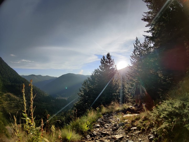 Trail