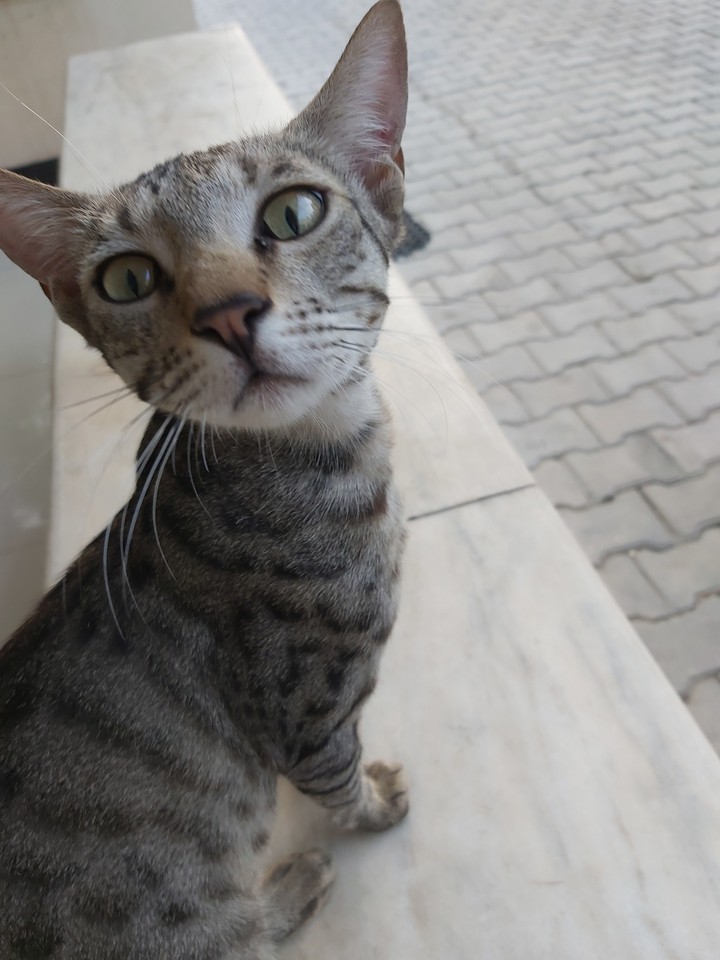 What u Looking At..