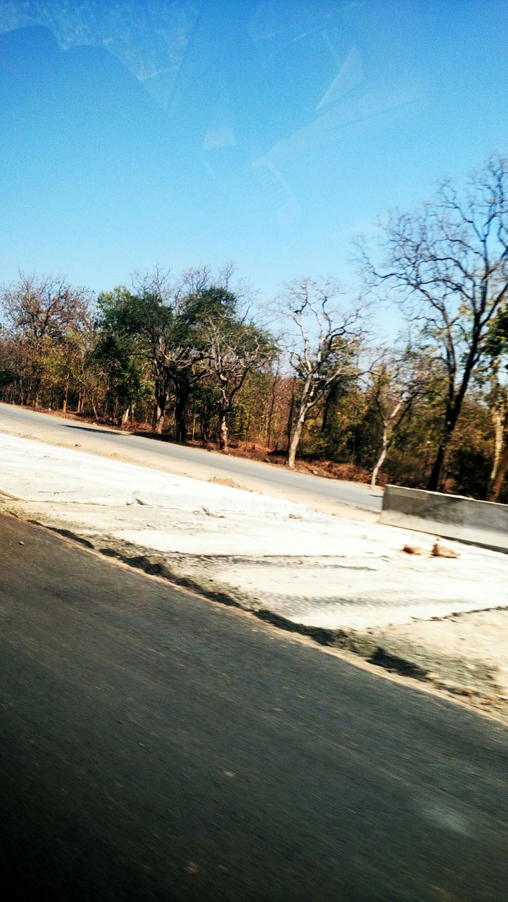 beside of road