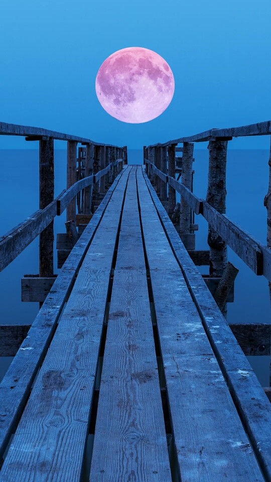 The MoOn