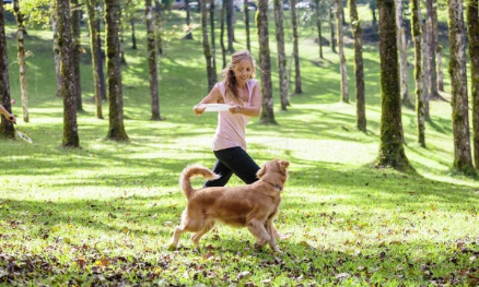 Cats and Dogs Statistics