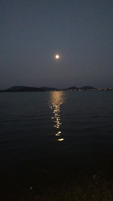 Beautiful Nature