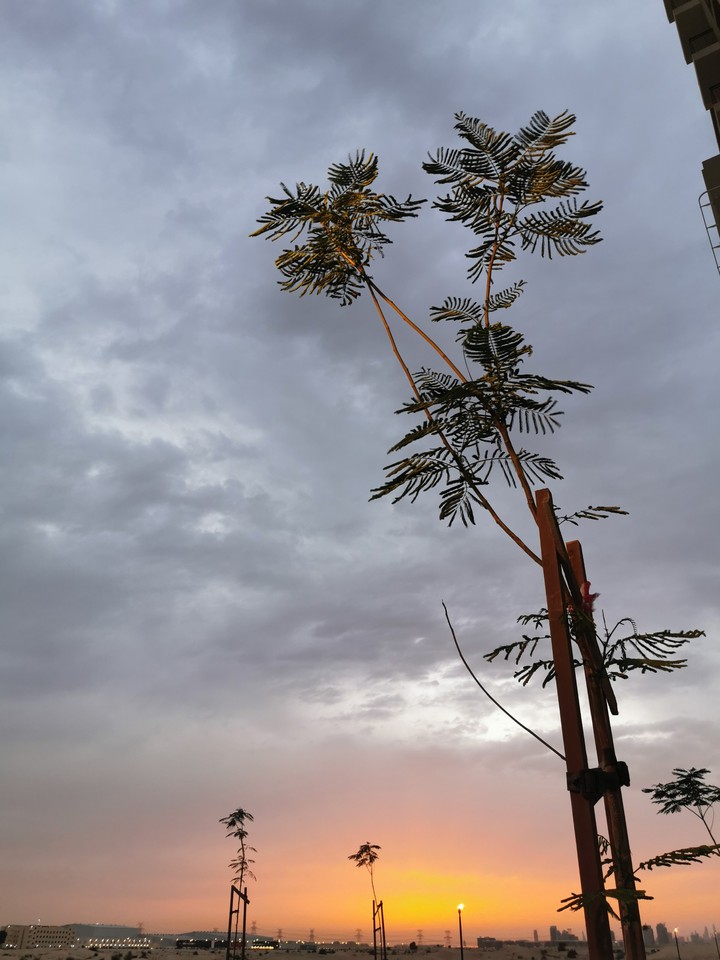 Sunset Photography