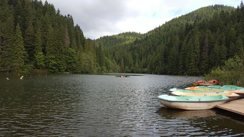 Laku Rosu