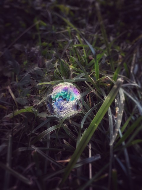 grass桌布
