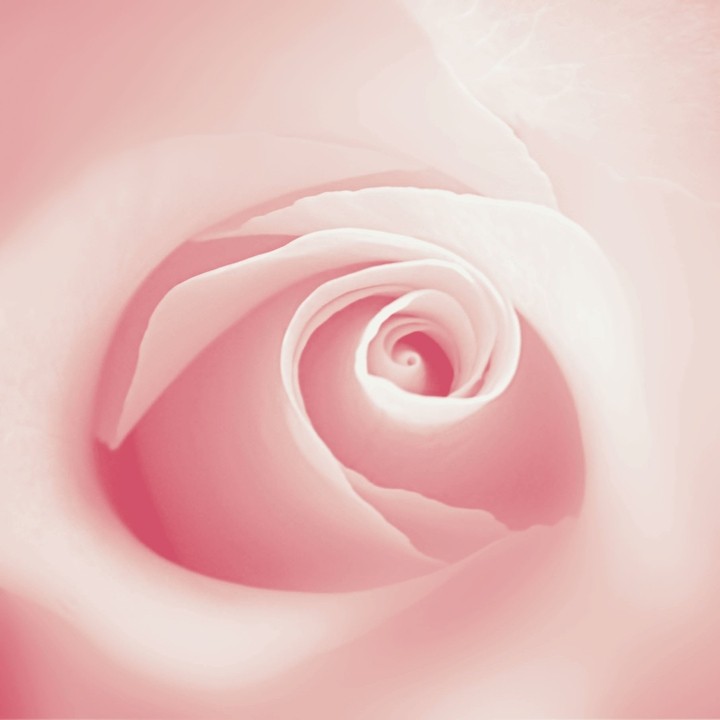 꽃