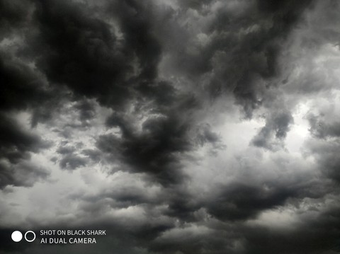 обои landscape, monochrome