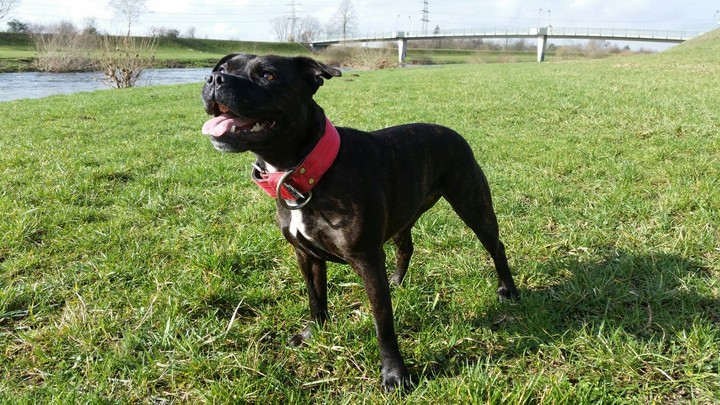 Betty ❤