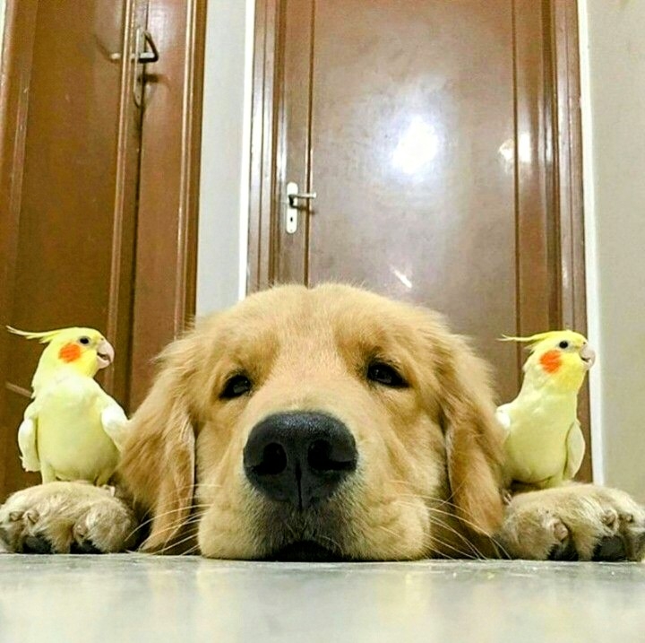 .