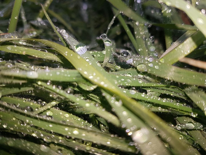 water