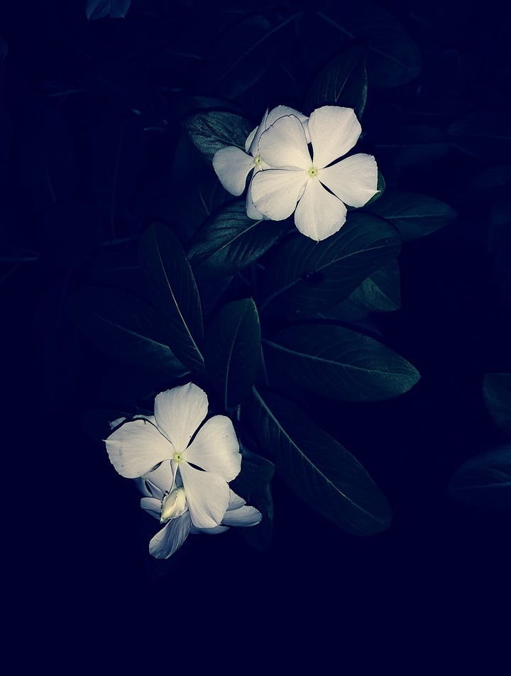 night photography