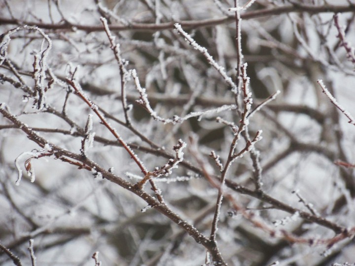 let it snow