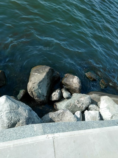 The Caspian Sea