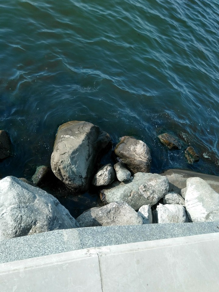 The Caspian Sea