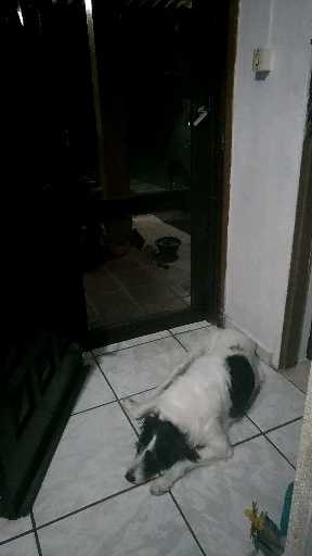 Pituca ♥️♥️