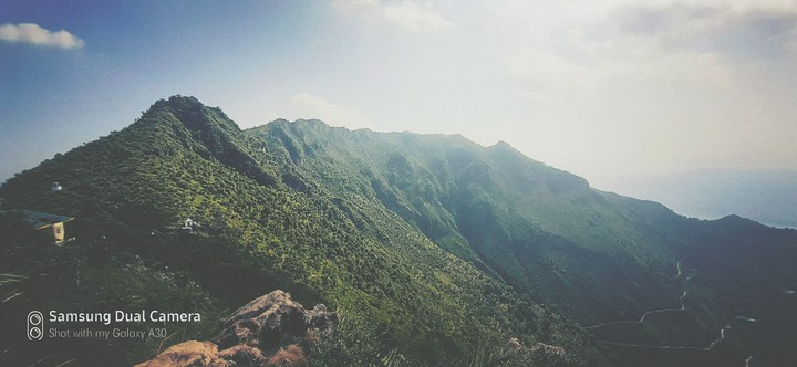 GREENERY ALL OVER THE MOUNTAIN