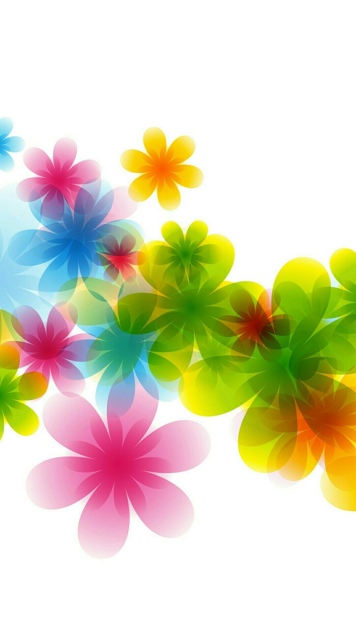 colorful flowers