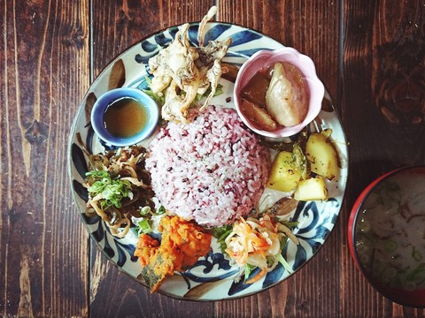 lunch